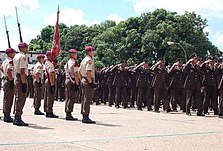 Fuerza Armada Nacional Bolivariana: Historia, Comando Estratégico Operacional, Educación