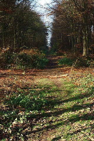 <span class="mw-page-title-main">Heath Wood barrow cemetery</span> Historic site in Ingleby, Derbyshire