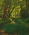 Henri Biva, A woodland stream, oil on canvas, 68.7 x 57.3 cm