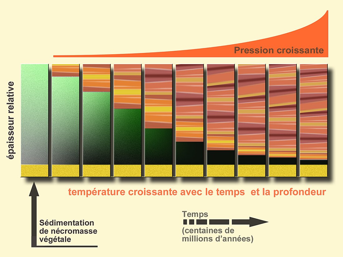 Gaz de couche