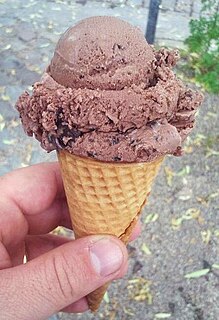 Chocolate ice cream ice cream with natural or artificial chocolate flavoring