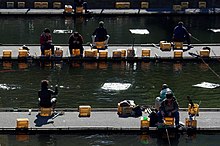 Tsuribori pond in Ichigaya, Japan. Ichigaya fishing pond.jpg