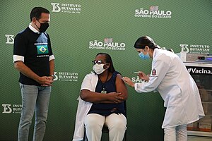 Pandemia De Covid-19 No Brasil: Evolução, Reações, Impactos