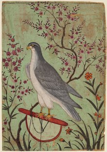 India, Rajasthan, Amber - Falcon on a Perch - 2018.165 - Cleveland Museum of Art.tif