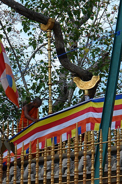 File:Jaya Sri Maha Bodhi.jpg