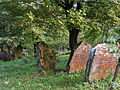 Jewish cemetery Rymanów.jpg