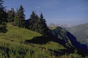 Känzele (the grassy mountain to the right of the spruce group) from Habaum
