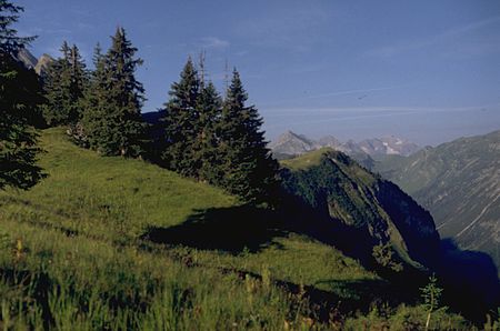 Kaenzele vom Habaum