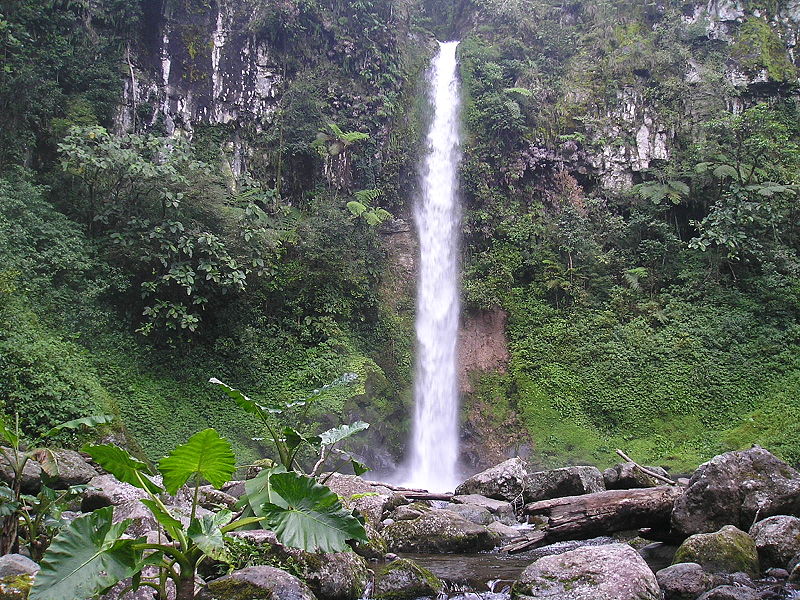 File:Kalatungan falls.JPG