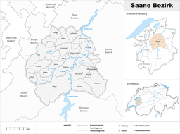 Karte Bezirk Saane 2021.png
