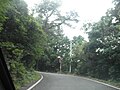 生名鷲ヶ尾 徳島県道146号鶴林寺線