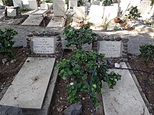 Graves of unknown victims of the Tel Aviv and Jaffa deportation Kinnert Cemetery 10.JPG