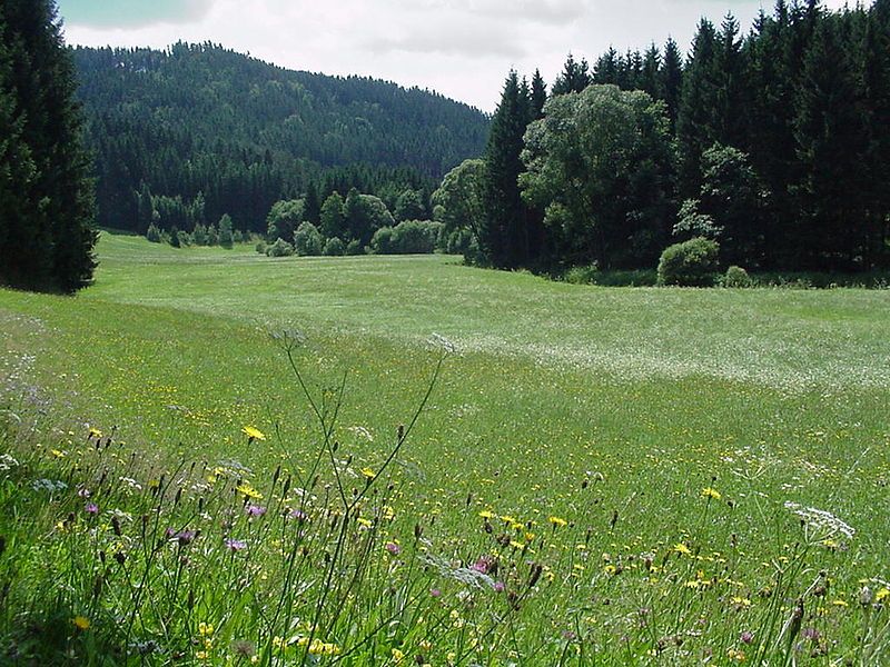 File:Kleine Gusen Tal.jpg