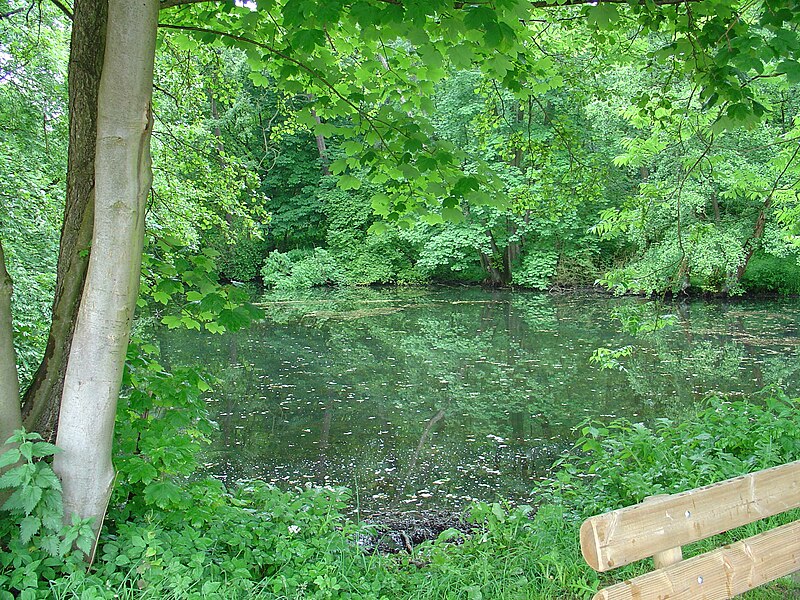 File:Kloster Hartehausen - Teich.jpg