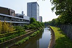 坪井川 (熊本県)のサムネイル