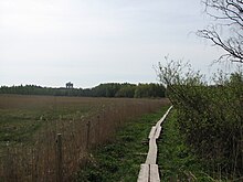 Laajalahti includes a nature preservation area near the seashore, with a hiking trail leading to Otaniemi