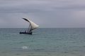 Laika ac Zanzibar (9788008103).jpg