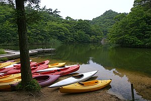 Kayak: Một loại thuyền