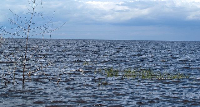 Lake Okeechobee, from Canal Point, Florida