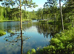 Langvannet I Aurskog-Høland: Innsjø sør for Leirfoss i Aurskog-Høland kommune