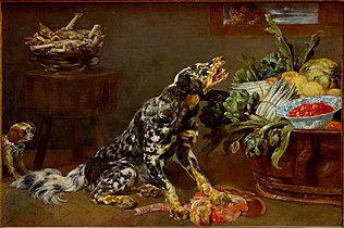 Chien dans une cuisine, vers 1650, Paul de Vos.