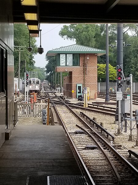 File:Linden 20180820 (24).jpg