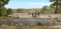 Thumbnail for Paleobiota of the Liushu Formation