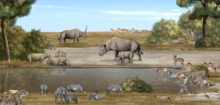 An artist's illustration of the Paleobiota and environment of the upper part of the Liushu formation Lishu Formation ecosystem.png