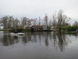 Озеро для каякинга в Луизиане Lac Des Allemands.jpg 