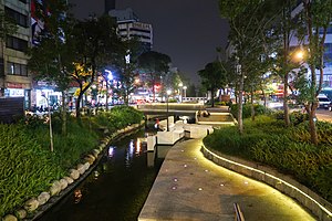 Luchuan Canal (Taichung) night view 201905.jpg