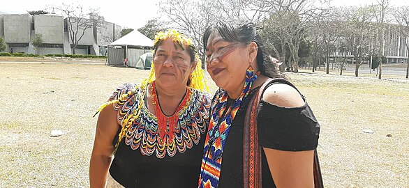 Maria Fernanda Ribeiro eta Joenia Wapichana, Emakume indigenen martxa, 2019