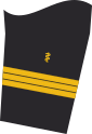 Dienstgradabzeichen auf dem Unterärmel der Jacke des Dienstanzuges für Marineuniformträger (Humanmedizin).