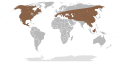 Range of the mastodons (genus Mammut; extinct)
