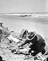 Man on beach with fossils (3567382155).jpg