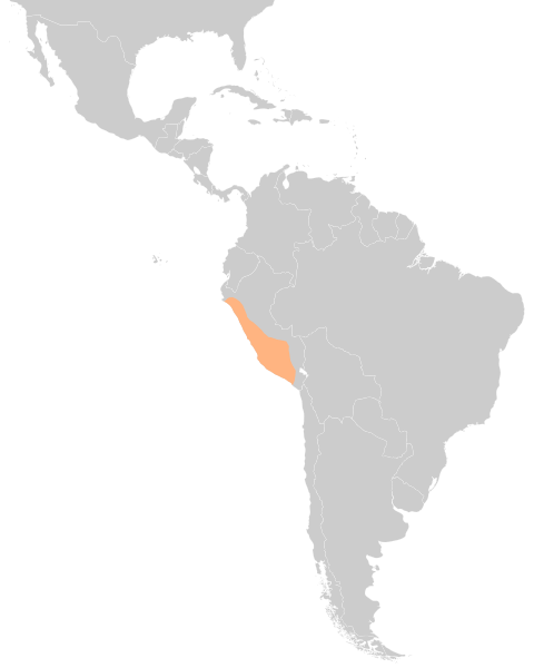 File:Map of Wari in Latin America.svg