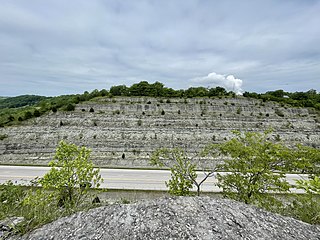 Maysville roadcut