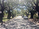 McCallum Avenue near Stubbs Terrace, Daglish, Western Australia, December 2021 01.jpg