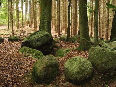 Megalithgrab am Teufelssee bei Liepen 19 09 2008 065