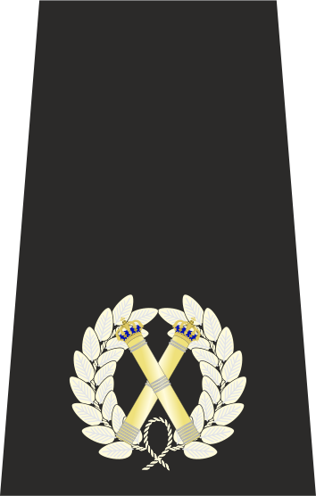 File:Met Commander Epaulette.svg