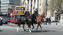 Metropolitan Police in Trafalgar Square, London Metropolitan police horses.JPG