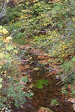 Thumbnail for Mill Creek (Roaring Creek tributary)