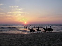 Équitation sur la plage nord au coucher de soleil.
