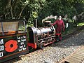 Thumbnail for Great Laxey Mine Railway