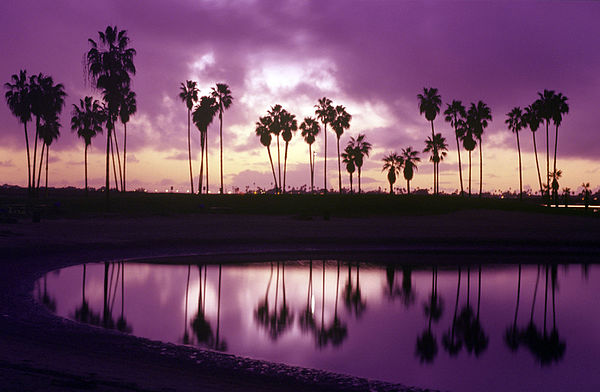 Mission Bay sunset