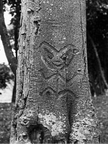 Fotografie alb-negru care prezintă o figură umană stilizată sculptată pe un copac (foto din 1900).