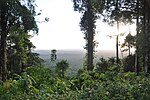 Vignette pour Réserve naturelle nationale des marais de Kaw-Roura