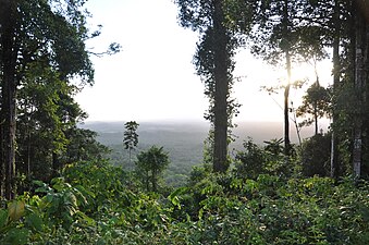 Uitzicht vanaf de Kaw berg