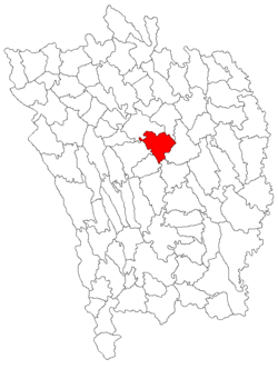 Location of Muntenii de Jos