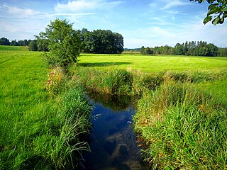 Murn (river) river in Germany