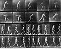 Muybridge himself throwing a disk, climbing a step, and walking